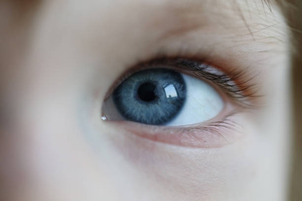 istock Close-up eyes cheerful child, small look at world 1273933158