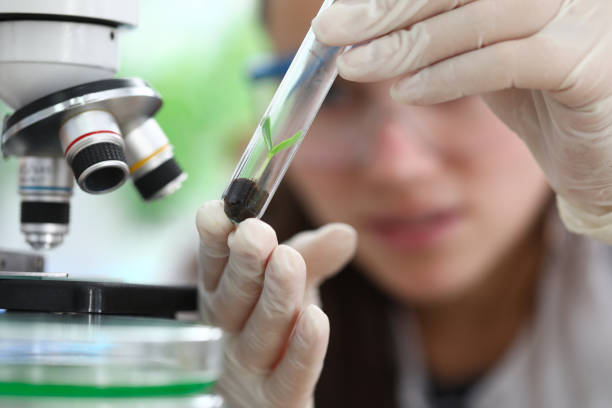 istock Happy laboratory assistant holds sprout test tube 1273933176