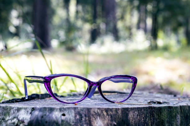 istock Glasses in the forest, reading in nature 1273934680