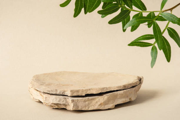 Background for cosmetic products of natural beige color. Background for cosmetic products of natural beige color. Stone podium with green leaves. Front view. showing photos stock pictures, royalty-free photos & images