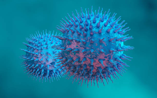 conceptual visualization of the swine influenza virus (h1n1) - influenza a virus imagens e fotografias de stock