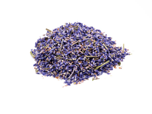 istock dried lavender isolated on white background 1273935806