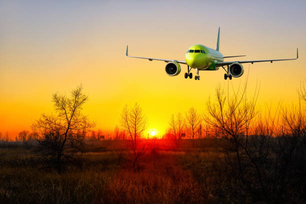 istock A bright red sunset and a big jet landing. 1273935990