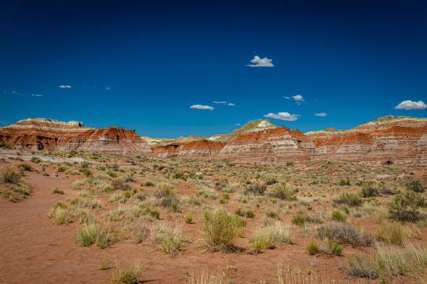 istock The Toadstool Trail at Grand Staircase-Escalante National Monument 1273936034