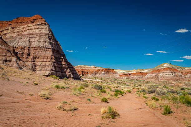istock The Toadstool Trail at Grand Staircase-Escalante National Monument 1273936108