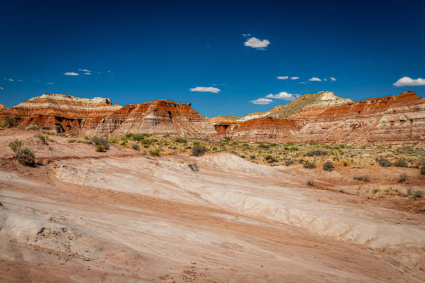 istock The Toadstool Trail at Grand Staircase-Escalante National Monument 1273936159