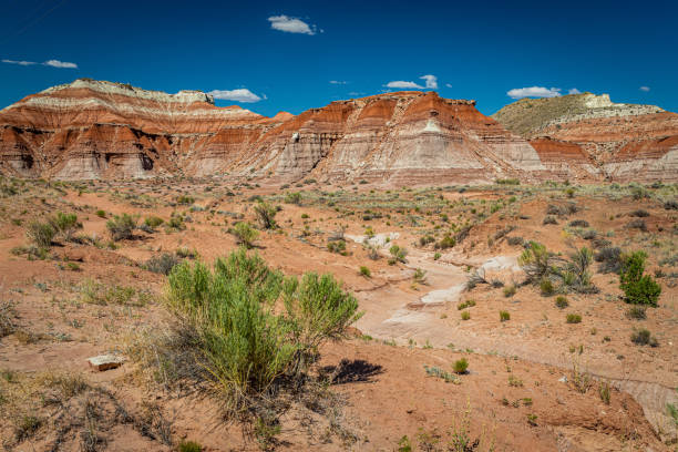istock The Toadstool Trail at Grand Staircase-Escalante National Monument 1273936175