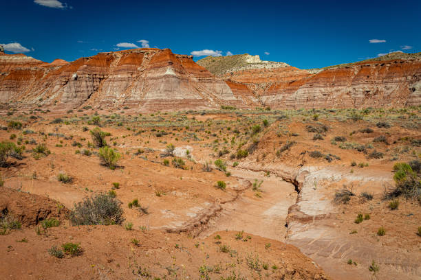 istock The Toadstool Trail at Grand Staircase-Escalante National Monument 1273936178