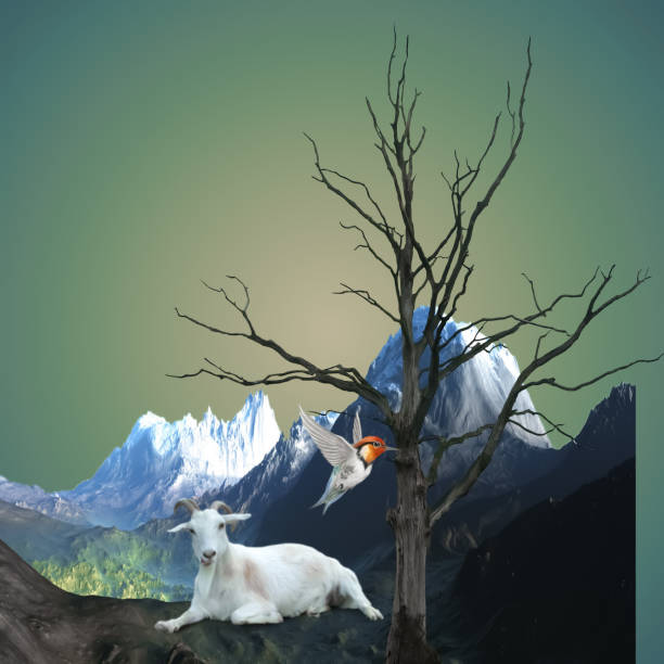 istock goat in the mountains 1273941746