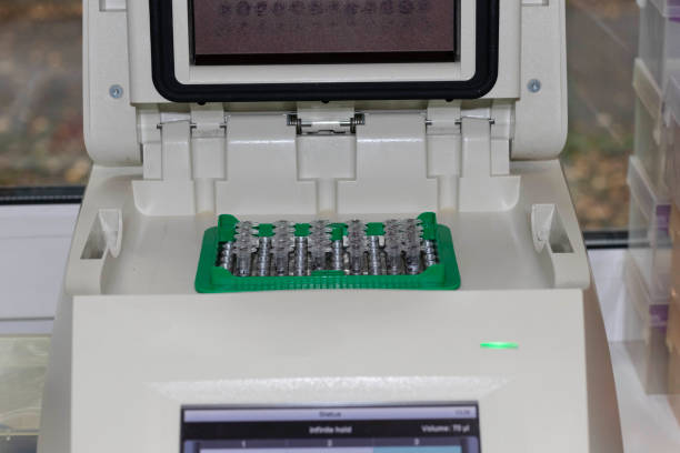 istock PCR tubes in thermal cycler ready to amplification. PCR machine in Biotechnology lab. 1273941831