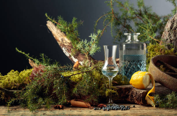 istock Gin in a small glass and lemon. 1273941935