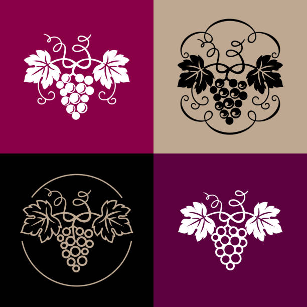 Grapes icon set Set of grapes decorative pattern for wine design concept, bar or restaurant menu, juice drinks, fruit juices, healthy vegan food, viticulture, wine or juice label, grape seed oil. Vector illustration. wine and oenology graphic stock illustrations
