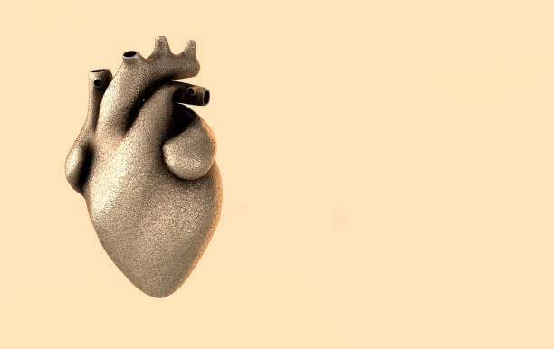 organismo cardíaco humano realista con arterias y renderizado aorta 3d. feliz tarjeta de felicitación del día de san valentín. antecedentes románticos. corazón metálico dorado - human cardiovascular system heart shape human hand healthy lifestyle fotografías e imágenes de stock