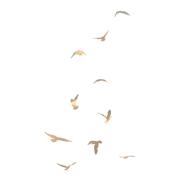 istock Watercolour silhouette of flying birds seagulls on white background. Inspirational body flash tattoo ink of sea birds. Vector. 1273945764
