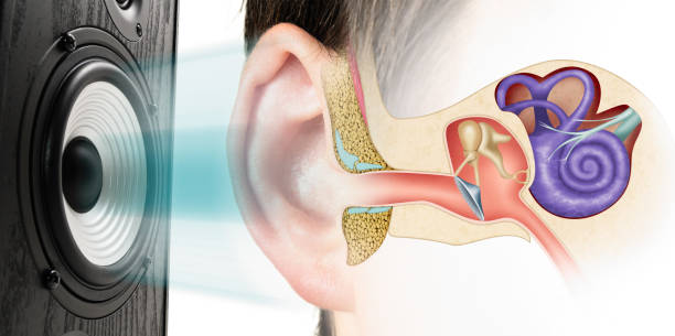 istock Influence of loud sound on hearing. 1273955503