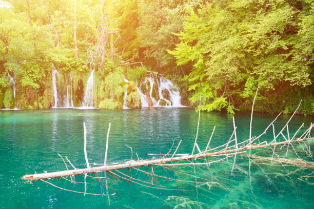 istock waterfall in forest of Plitvice Lakes National Park 1273955676