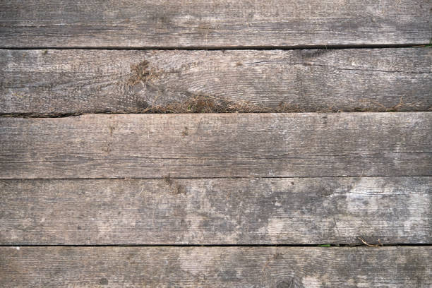istock wood panels used as background 1273957677