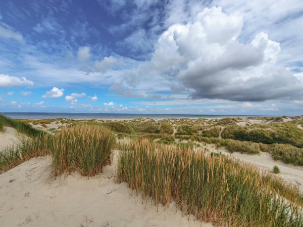 istock Sunny sky with clouds near coast 1273982668