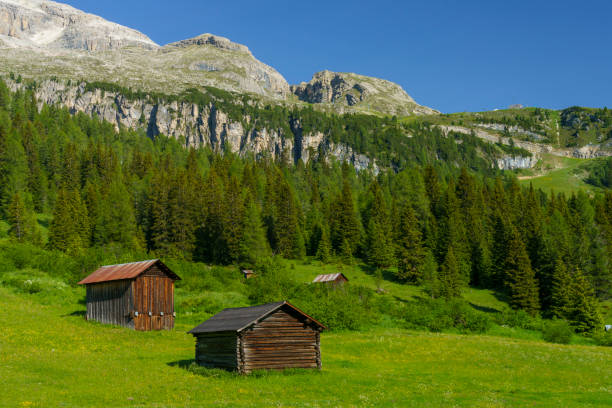 mountain landscape along the road to campolongo pass, dolomites - cordevole valley imagens e fotografias de stock