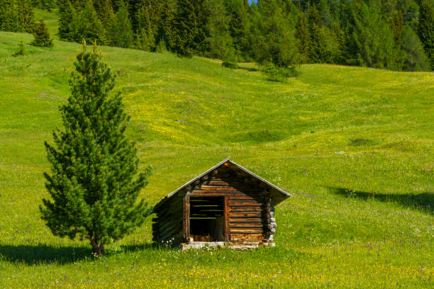 mountain landscape along the road to campolongo pass, dolomites - cordevole valley stock-fotos und bilder