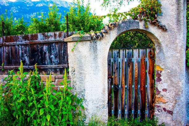 Abandoned wooden gate with peeling brick wall entrance overgrown with vegetation in Caldaro Bolzano, Italy