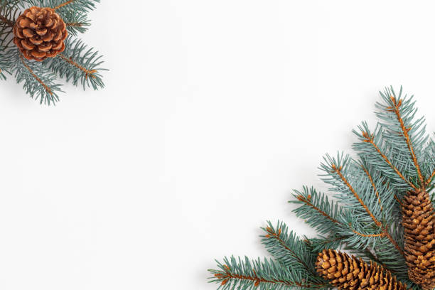 istock Christmas composition with fir tree branches and cones on white. 1274038462