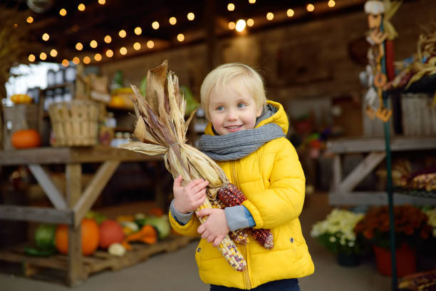 ragazzo felice che tiene orecchie colorate di mais indiano alla fiera agricola stagionale - market farmers market agricultural fair child foto e immagini stock