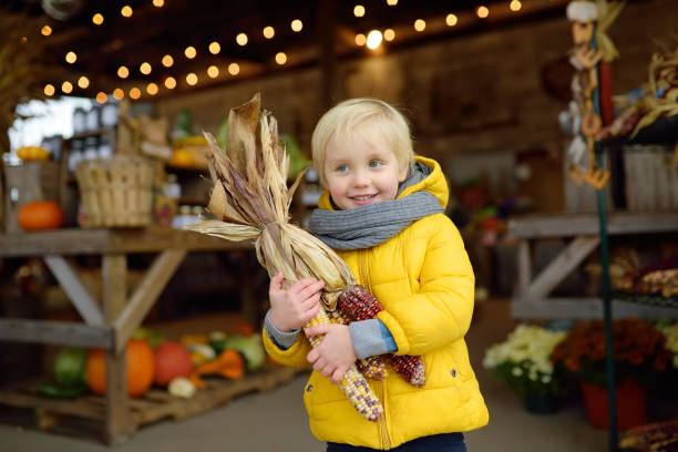 季節の農業見本市でインドのトウモロコシのカラフルな耳を持つ喜びの少年 - autumn corn indian corn decoration ストックフォトと画像