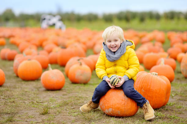 mały chłopiec na farmie dyni jesienią. dziecko przedszkolak siedzi na ogromnej dyni - farmers market agricultural fair vegetable child zdjęcia i obrazy z banku zdjęć