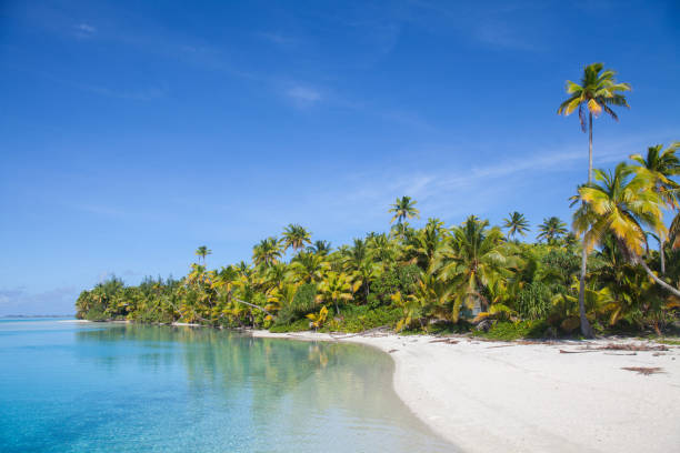 istock One Foot Island, Aitutaki, Cook Islands 1274074949