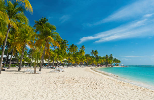 istock Caravelle beach in Guadeloupe 1274081948