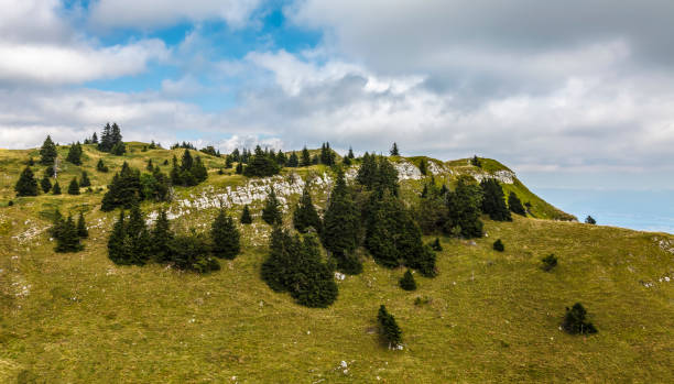 Landscape of Mont Rond located in the French Jura Mountains.