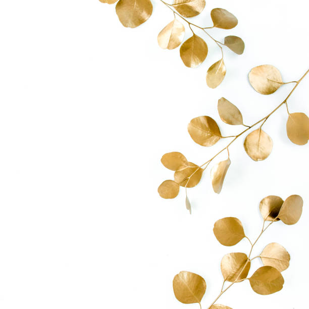 istock Borders of the frame of gold branches, eucalyptus leaves on a white background. flat layout, top view 1274093871