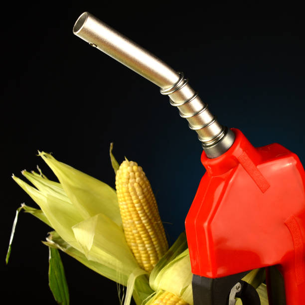 Corn Based Fuel A corn based fuel concept with a gas pump and gradient background. corn biodiesel crop corn crop stock pictures, royalty-free photos & images
