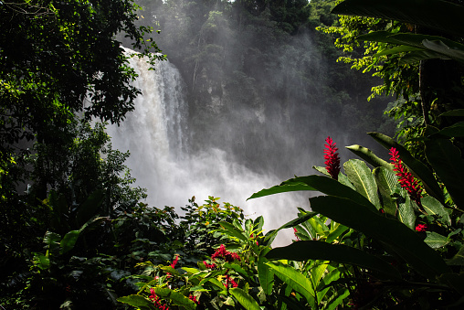 Among the tropical jungle of northern Chiapas is this beautiful 52-meter high waterfall