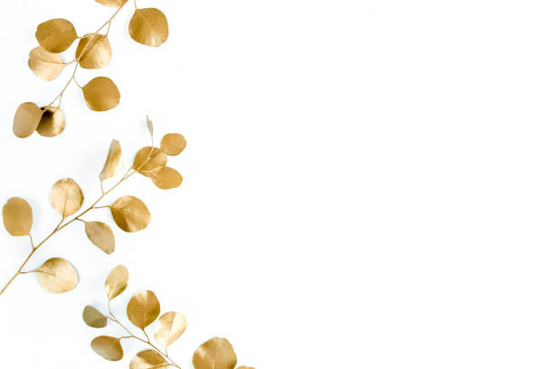 istock Borders of the frame of gold branches, eucalyptus leaves on a white background. flat layout, top view 1274097982