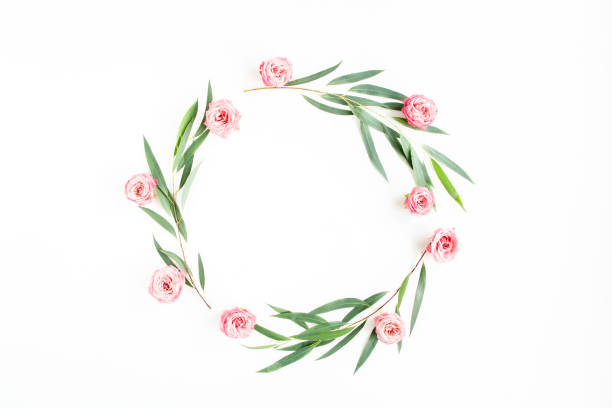 Round wreath frame eucalyptus populus branches and rose flowers isolated on white background. Flat lay, top view Round wreath frame eucalyptus populus branches and rose flowers isolated on white background. Flat lay, top view. . High quality photo artificial flower stock pictures, royalty-free photos & images