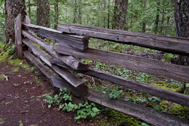 Rustic Fence A beautiful close-up view of a rustic fence in the middle of the forest as part of a Provincial Park experience along a network of several hiking trails available for different outdoor activities rail fence stock pictures, royalty-free photos & images