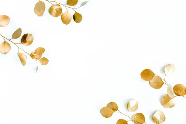 istock Borders of the frame of gold branches, eucalyptus leaves on a white background. flat layout, top view 1274143734