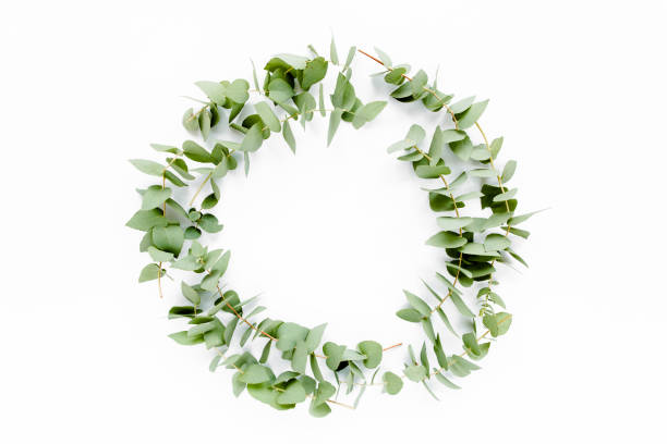 istock Wreath frame made of branches eucalyptus isolated on white background. lay flat, top view 1274143788