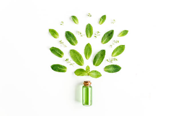 istock Essential oil and greenmint leaves on white background. Medicinal herbs. Flat lay. Top view 1274143804