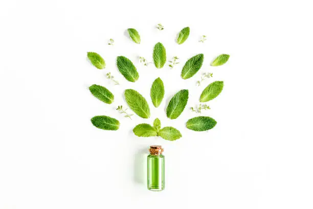Essential oil and greenmint leaves on white background. Medicinal herbs. Flat lay. Top view. High quality photo