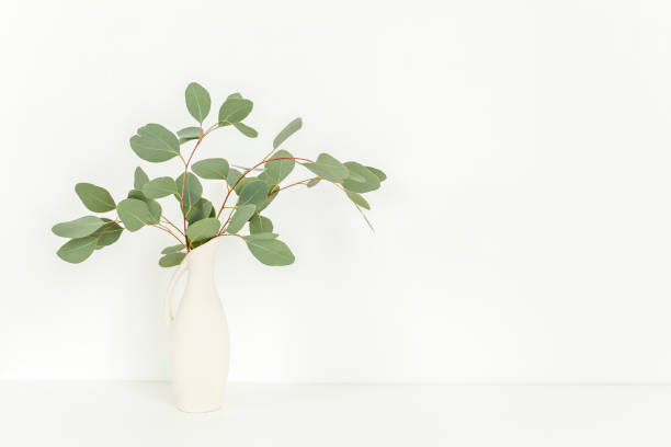 istock Branches of eucalyptus populus in vase on table on light background. Home decor. Blog, website or social media concept 1274145792