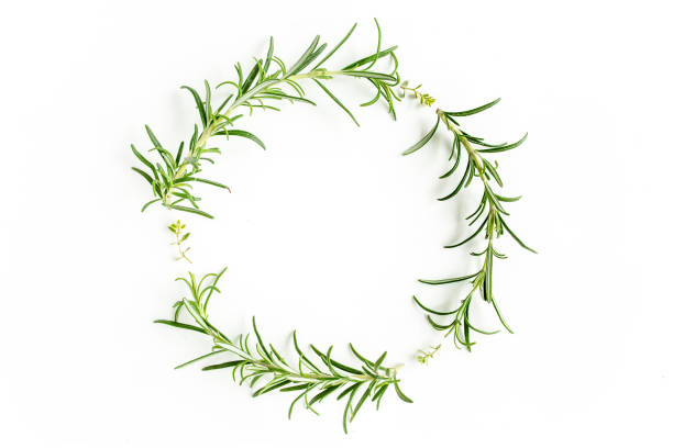 istock Round wreath frame made herbs, green branches, leaves rosemary. Flat lay. Top view 1274148087
