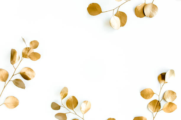 istock Borders of the frame of gold branches, eucalyptus leaves on a white background. flat layout, top view 1274149984