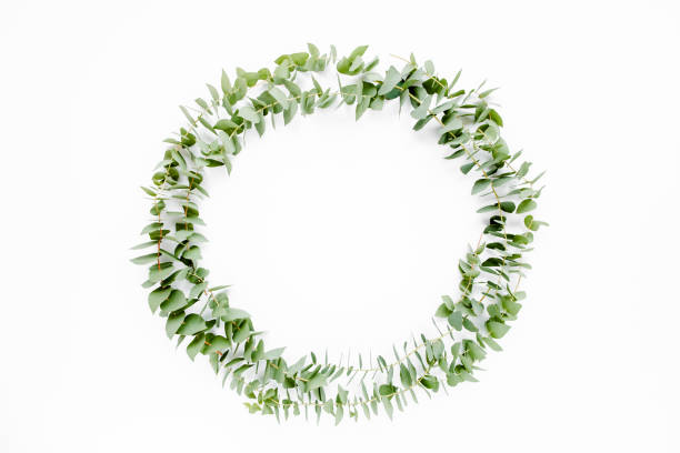 istock Wreath frame made of branches eucalyptus isolated on white background. lay flat, top view 1274153124