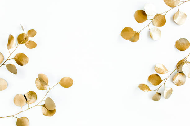 istock Borders of the frame of gold branches, eucalyptus leaves on a white background. flat layout, top view 1274162698