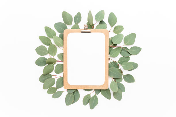 istock Frame - clipboard decorated with branches of eucalyptus, isolated on a white background. lay flat, top view 1274163007