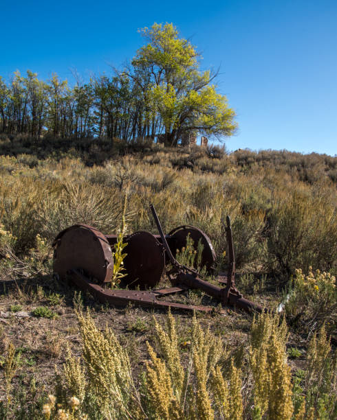 istock Old Farm Buildings on the plains 1274173231