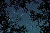 Summer outdoor starry sky vector wedding texture